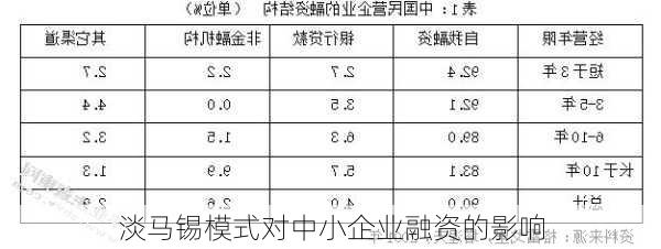 淡马锡模式对中小企业融资的影响