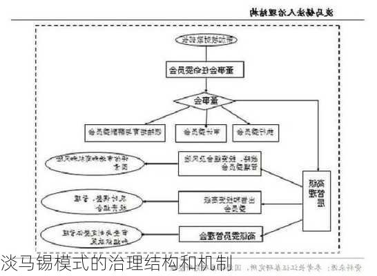 淡马锡模式的治理结构和机制