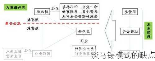 淡马锡模式的缺点