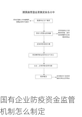 国有企业防疫资金监管机制怎么制定