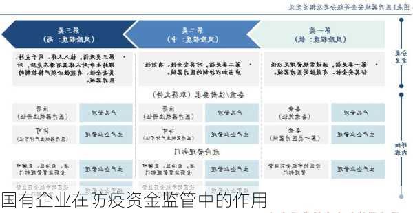 国有企业在防疫资金监管中的作用