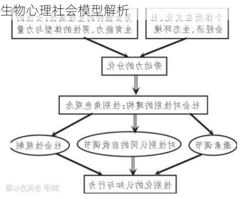 生物心理社会模型解析