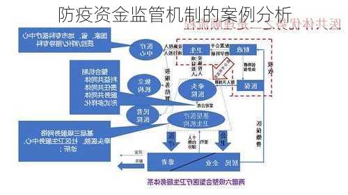 防疫资金监管机制的案例分析