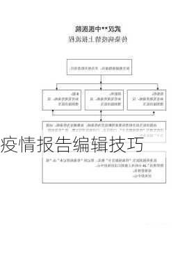 疫情报告编辑技巧