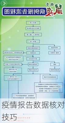 疫情报告数据核对技巧