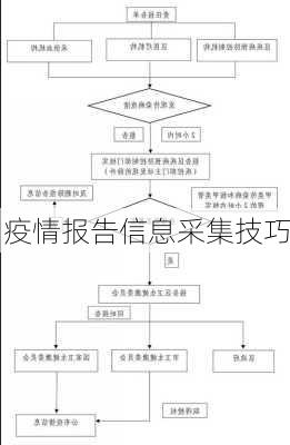 疫情报告信息采集技巧