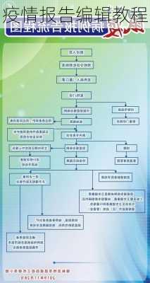 疫情报告编辑教程