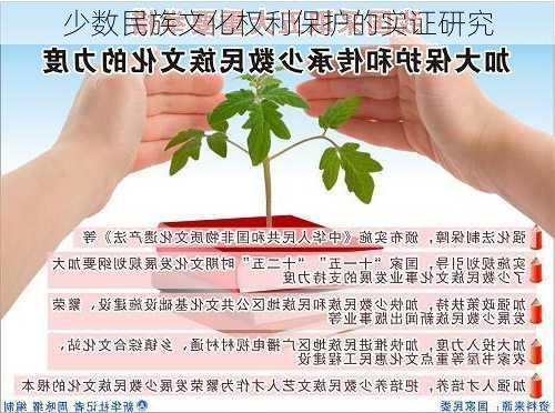 少数民族文化权利保护的实证研究