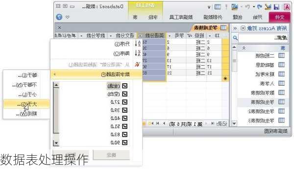 数据表处理操作
