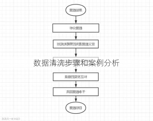 数据清洗步骤和案例分析