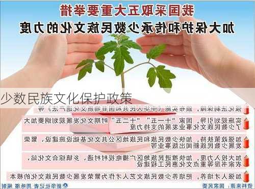 少数民族文化保护政策