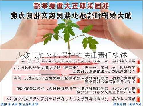 少数民族文化保护的法律责任概述