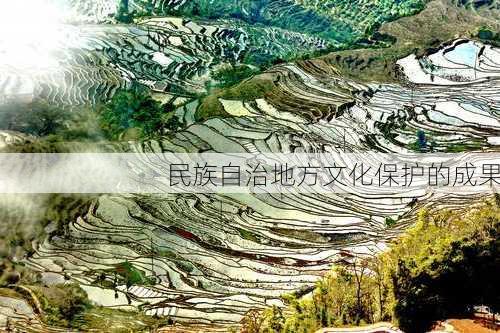 民族自治地方文化保护的成果