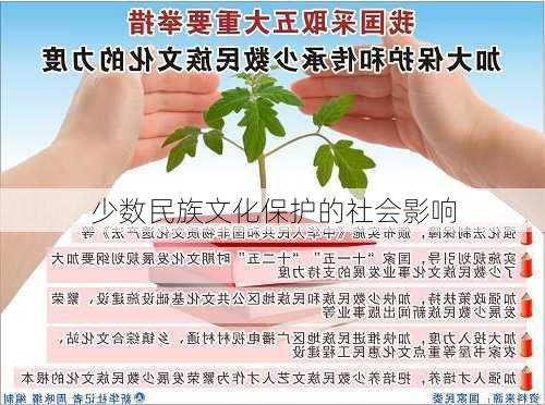 少数民族文化保护的社会影响