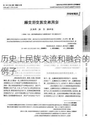 历史上民族交流和融合的例子