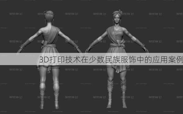 3D打印技术在少数民族服饰中的应用案例