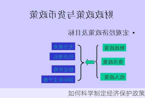 如何科学制定经济保护政策