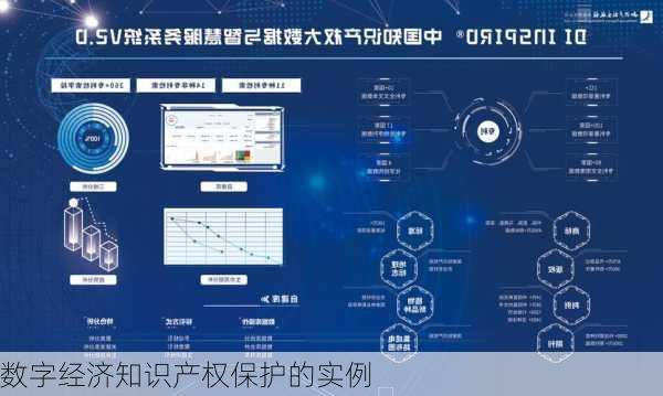 数字经济知识产权保护的实例