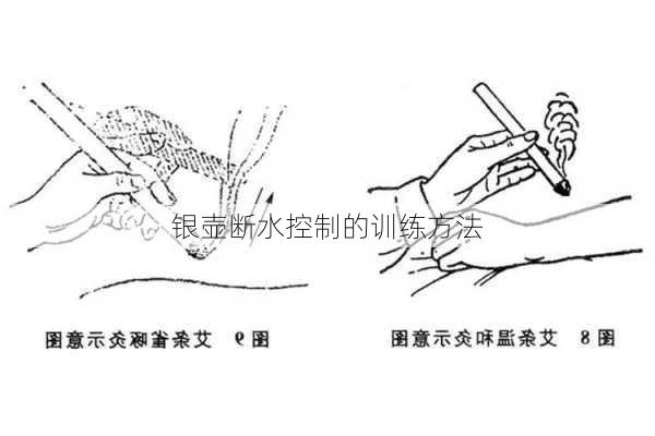 银壶断水控制的训练方法