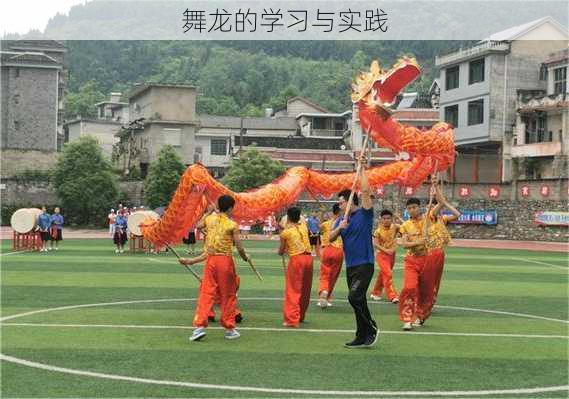 舞龙的学习与实践