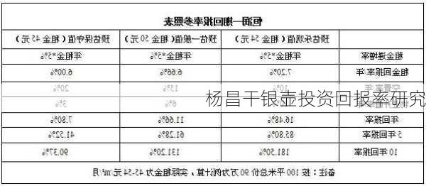 杨昌干银壶投资回报率研究