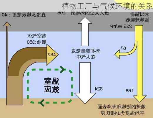 植物工厂与气候环境的关系