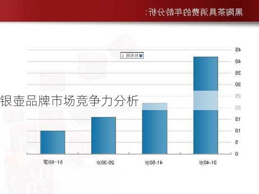 银壶品牌市场竞争力分析