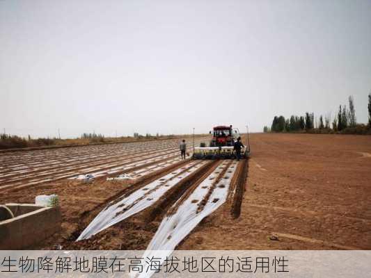 生物降解地膜在高海拔地区的适用性