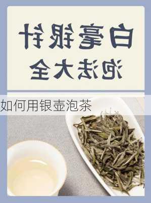 如何用银壶泡茶