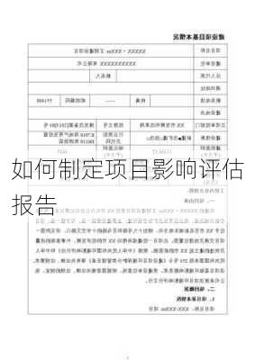 如何制定项目影响评估报告