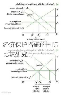 经济保护措施的国际比较研究