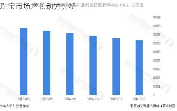 珠宝市场增长动力分析