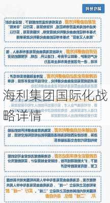 海利集团国际化战略详情