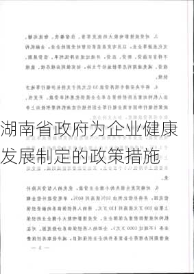 湖南省政府为企业健康发展制定的政策措施