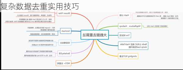 复杂数据去重实用技巧