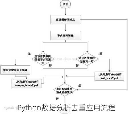 Python数据分析去重应用流程