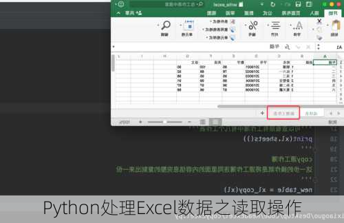 Python处理Excel数据之读取操作