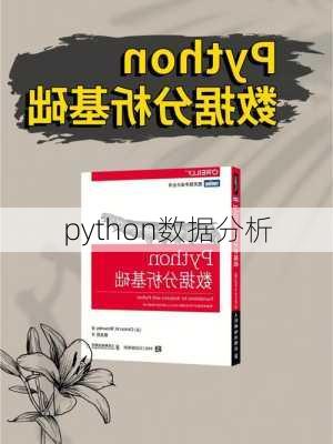 python数据分析