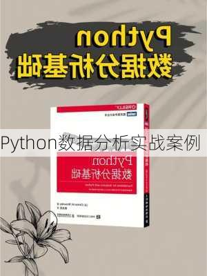 Python数据分析实战案例