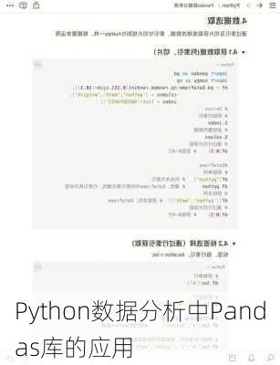 Python数据分析中Pandas库的应用