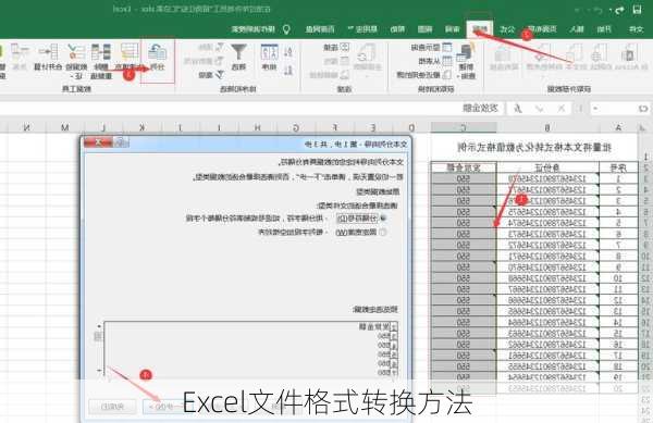 Excel文件格式转换方法