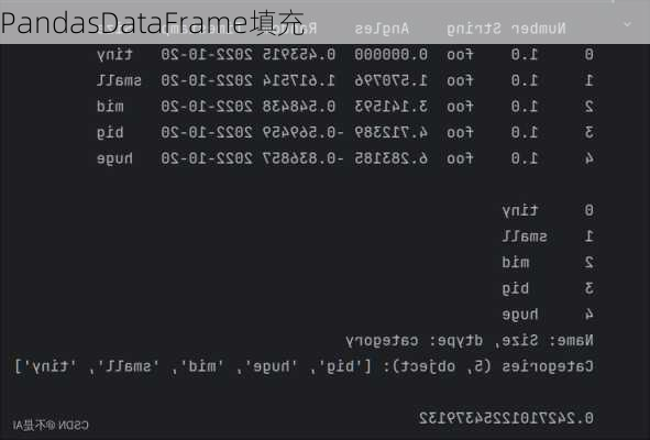 PandasDataFrame填充