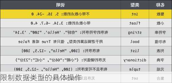 限制数据类型的具体操作