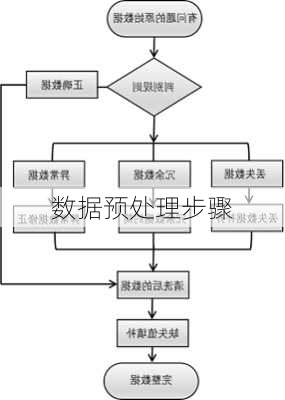 数据预处理步骤