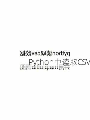 Python中读取CSV