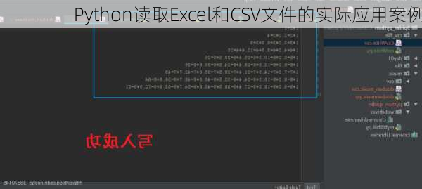 Python读取Excel和CSV文件的实际应用案例