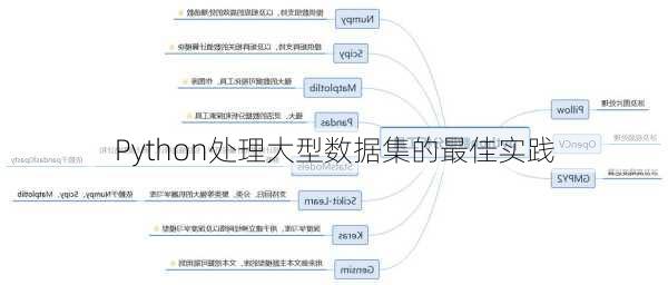 Python处理大型数据集的最佳实践