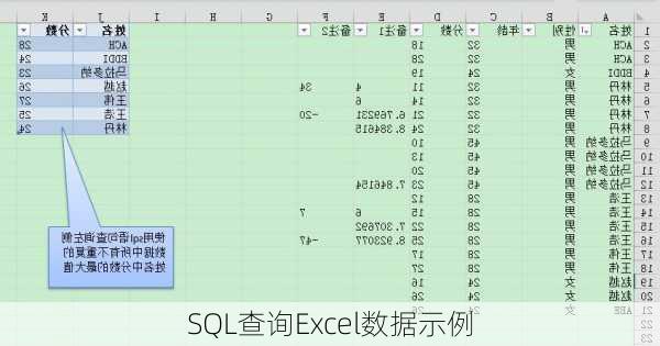 SQL查询Excel数据示例