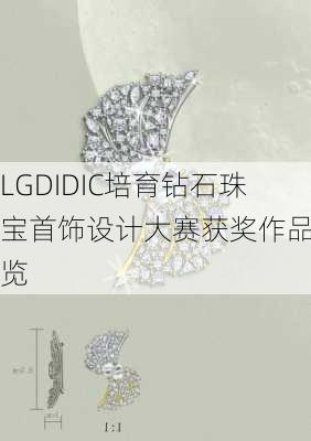 LGDIDIC培育钻石珠宝首饰设计大赛获奖作品一览