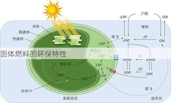 固体燃料的环保特性